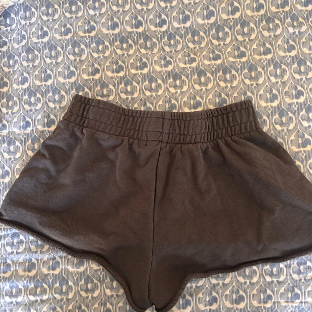Garage Grey Women's Shorts kind of brown in the picture but they are dark grey - Picture 3 of 3